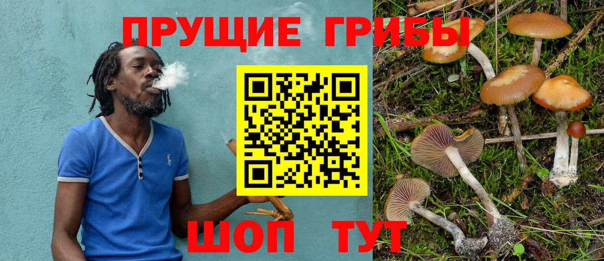 Псилоцибиновые грибы Magic Shrooms  Псилоцибиновые грибы Cubensis  Белово  Вход с VPN 