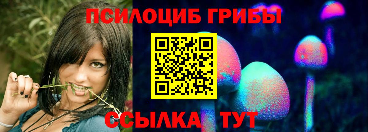 Псилоцибиновые грибы Cubensis Белово